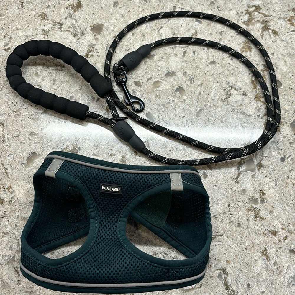 Dog harness and leash